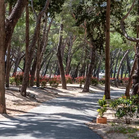 Apartman By The Sea - 19558 *